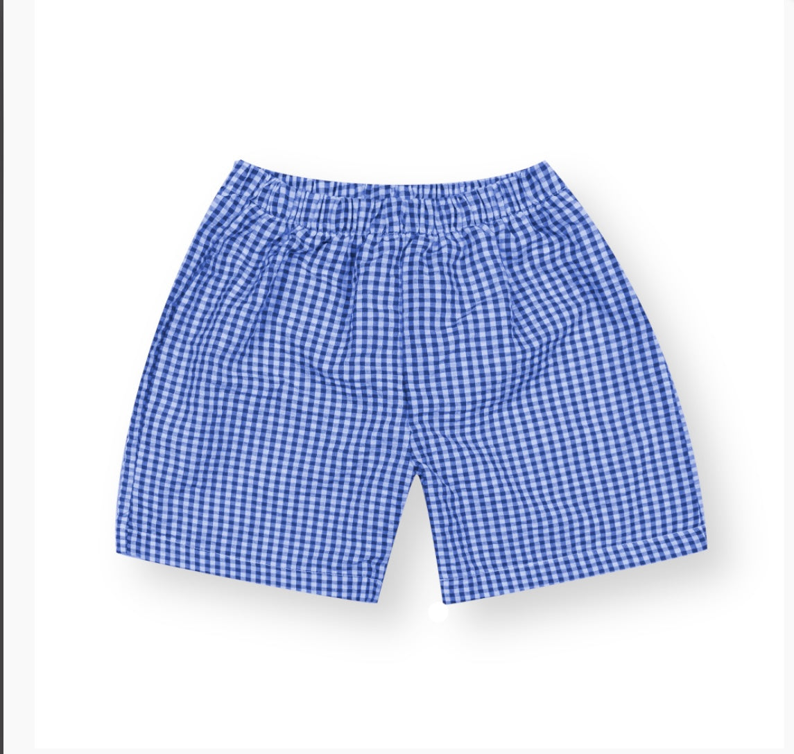 Boys Gingham Shorts